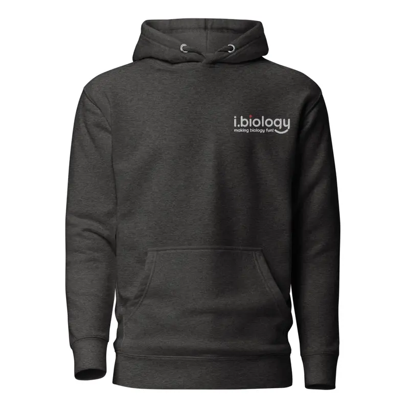 BioComfort Embroidered Hoodie