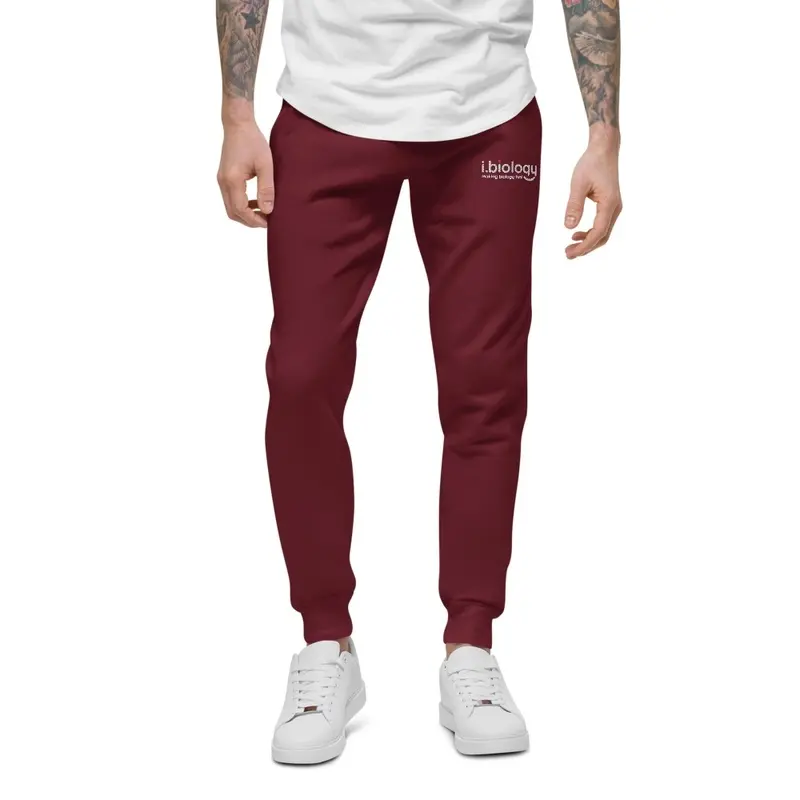 BioStride Soft-Wash Joggers