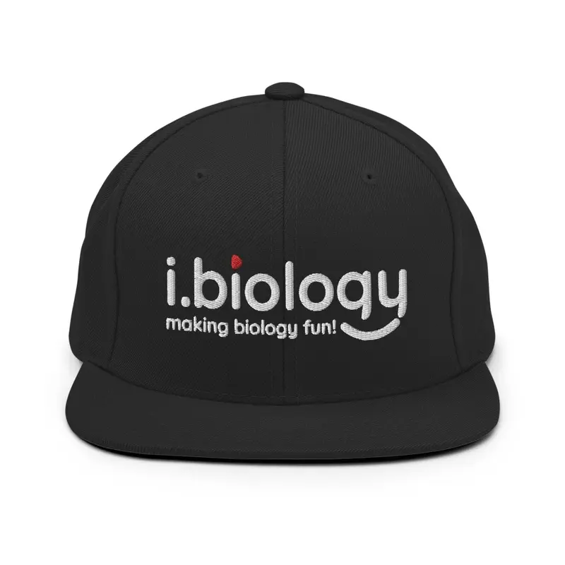 BioSnap Classic Cap